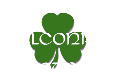 Private Personal Tours of Ireland Tour - Falconry Tours
