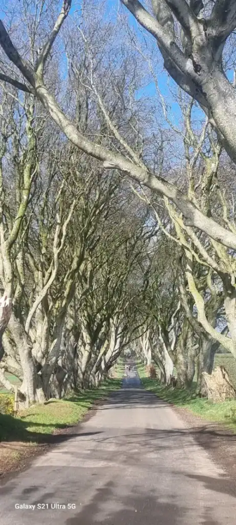 Game of Thrones Film Location, The Dark Hedges